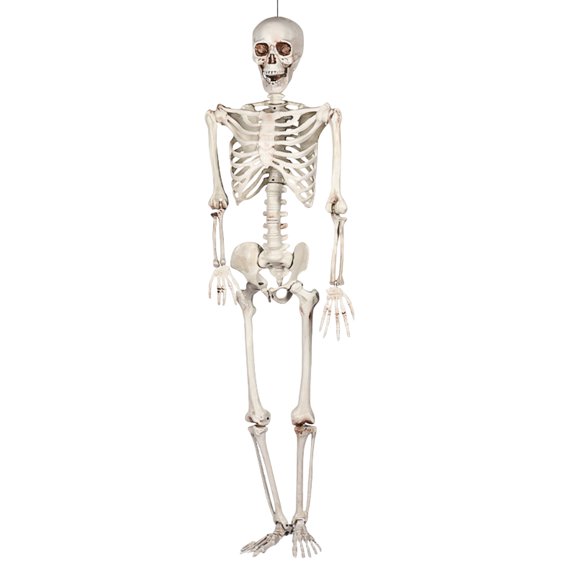 QLUEWX Halloween Skeleton Decorations, 6.6Ft Spooky Realistic Human Body Skeleton with Movable Joints Hanging Decor, Moving Plastic Skeleton Prop for Halloween Party & Haunted House Home Decor