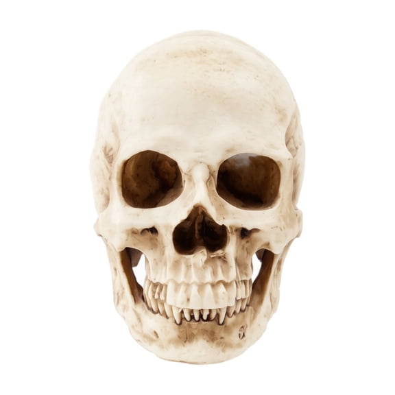 QLUEWX Halloween Skull Decorations, 6.7" Spooky Resin Model Skull with Base Halloween Party Decorations, Haunted Skull Display Party Supplies Table Decor, Halloween Decor for Home Indoor Bar Table