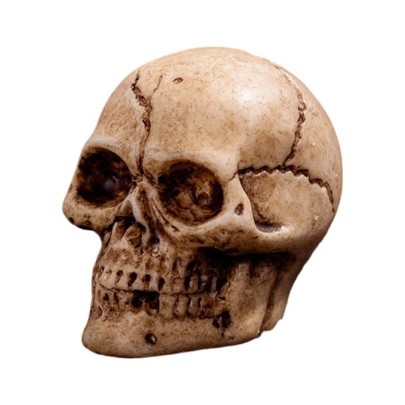 QLUEWX Mini Halloween Skulls Decorations, Realistic Small Resin Skull Figurines, 0.83 Inch Tiny Horror Skeleton Heads for Tiered Tray Tabletop DIY Craft Haunted House Halloween Party Decor Gifts
