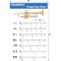 QMG Trumpet Fingering Chart with Color-Coded Notes, Learn Trumpet Technique Suitable for All Levels, Made in the USA