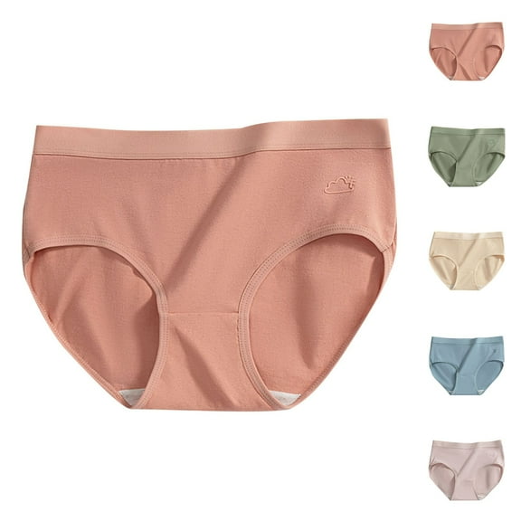 QNANSPI Womens Underwear Briefs, Underwear for Women, Ladies Mid High Waist Seamless Sheer Gentle Breathable Briefs Panties for Women