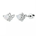 thumbnail image 1 of QQTDFG 20G Surgical Steel Stud Earring Heart CZ Cartilage Earring Helix Tragus Piercing-Style 5, 1 of 5