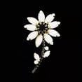 thumbnail image 1 of QQTDFG Retro Claw Setting White Resin Black Crystal Flower Brooch Pin Antique Jewelry-default, 1 of 4