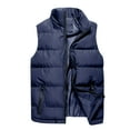 thumbnail image 1 of QSAWXQZ Men's Solid Color Vest Stand Collar Lightweight Zip Up Sleeveless Padded Cardigan Jacket with Pockets Blue M, 1 of 7