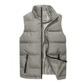 thumbnail image 1 of QSAWXQZ Men's Solid Color Vest Stand Collar Lightweight Zip Up Sleeveless Padded Cardigan Jacket with Pockets Gray S, 1 of 7