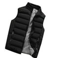 thumbnail image 1 of QSAWXQZ Men's Thick Padded Puffer Vest Plaid Sleeveless Stand Collar Zip Up Winter Warm Outerwear with Pockets Black XS, 1 of 5