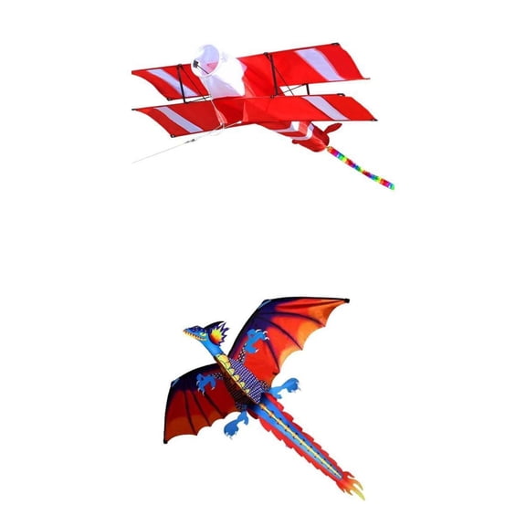 QSTDGVPW 2pcs Supersize 3D Dragon Kite, for Kids, Adults, Colorful Beach Activity Spiral Tail with Flying Tools