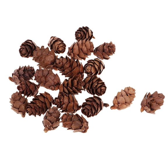 QSTDGVPW 50 pack Mini Decorative Pinecone Pine Cones Fall Winter Holiday Home Decoration