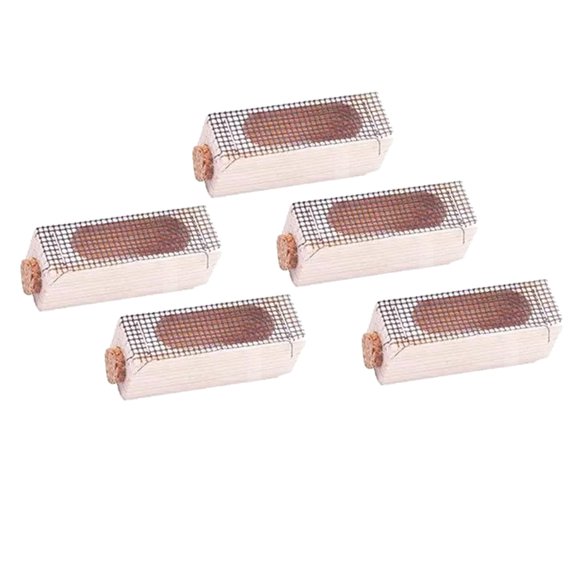 QSTDGVPW 5Pcs Wooden Queen Bee Cage Transport Cage Beekeeping Equipment for Queen Rearing
