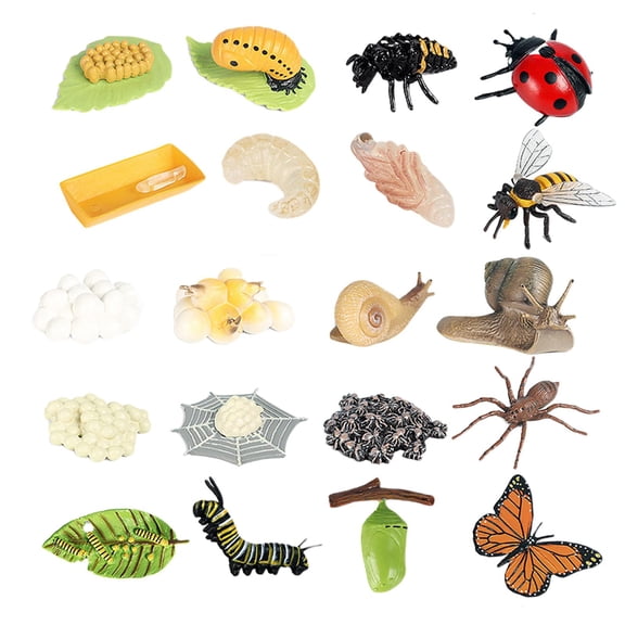 QSTDGVPW Animal Life Cycle Model Kit Growth Stage School Project, Science Cognition Party