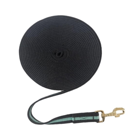 QSTDGVPW Lead Rope 26 ft Lunge Line Rein with Quickly Snap for Leading Showing Playing