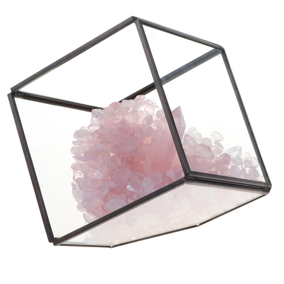 QSTDGVPW Natural Rock Mineral Collection Geology Earth Science Kit Ornament Pink