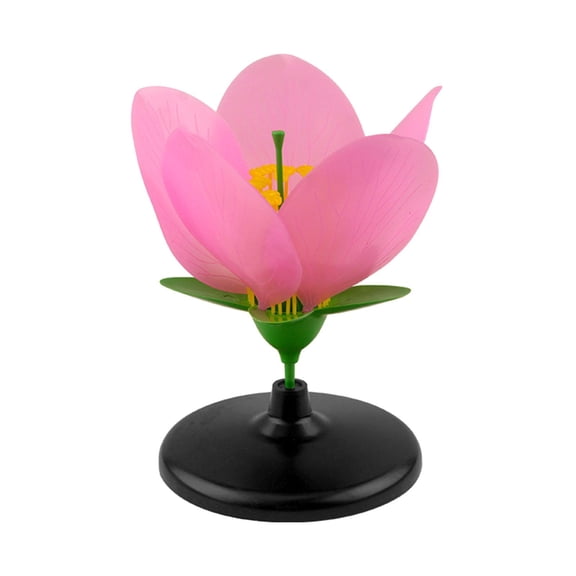 QSTDGVPW Peach Blossom Model Teaching Aid Supplies Realistic Learning Toys Petal Structure for Learning Studying Demonstration Display
