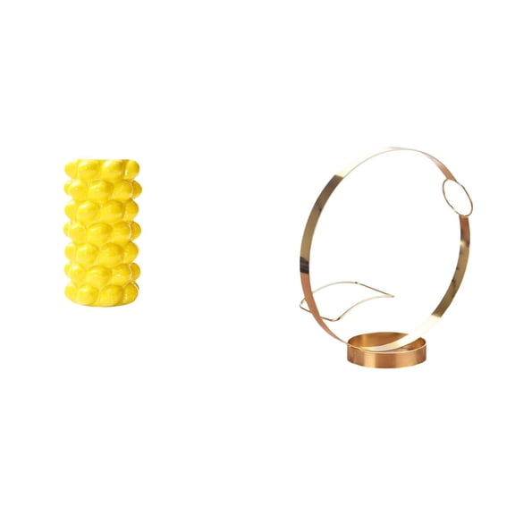 QSTDGVPW Porcelain Flower Vase and Iron Wine Bottle Holder Combination for Tabletop Living Room Desk Ornament Plants Container Fruit Display Organizer Storage