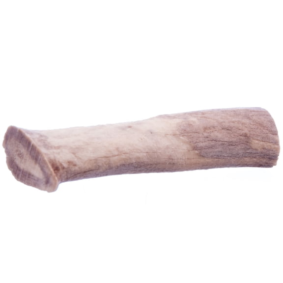 QT Dog All Natural Chew Toy, Medium