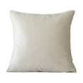 thumbnail image 1 of QTBIUQ Comfy Soft Thick Velvet Throw Pillow and Pillow Cases for Sofa Couch, Decorative Solid Squares Cushion Covers for Bedroom Car Beige, 1 of 7