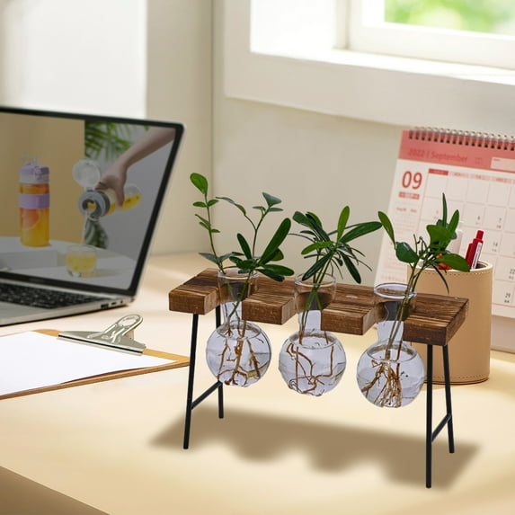QTOCIO Gardening Gifts Plant Terrarium With Wooden Stand Planter 3 Bulb Glass Vase Metal Swivel Holder Retro Tabletop For Hydroponics Home Office Garden Decoration
