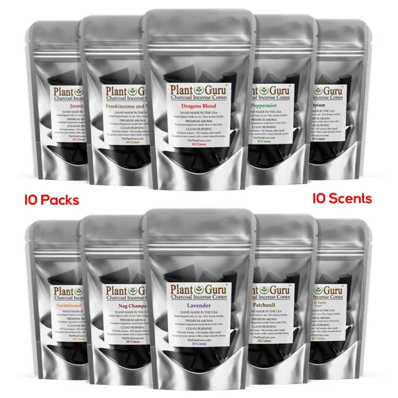 QUEST -100 Charcoal Incense Cones 1 Bulk Variety Set Assorted 10 Packs 10 Scents Lot