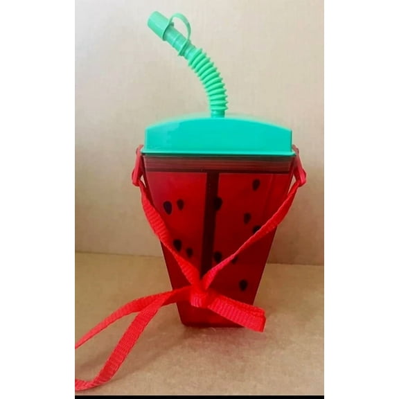 QUEST- Watermelon Tumbler Water Bottle W/ Straps & Straw Portable Cup Travel Flask. New