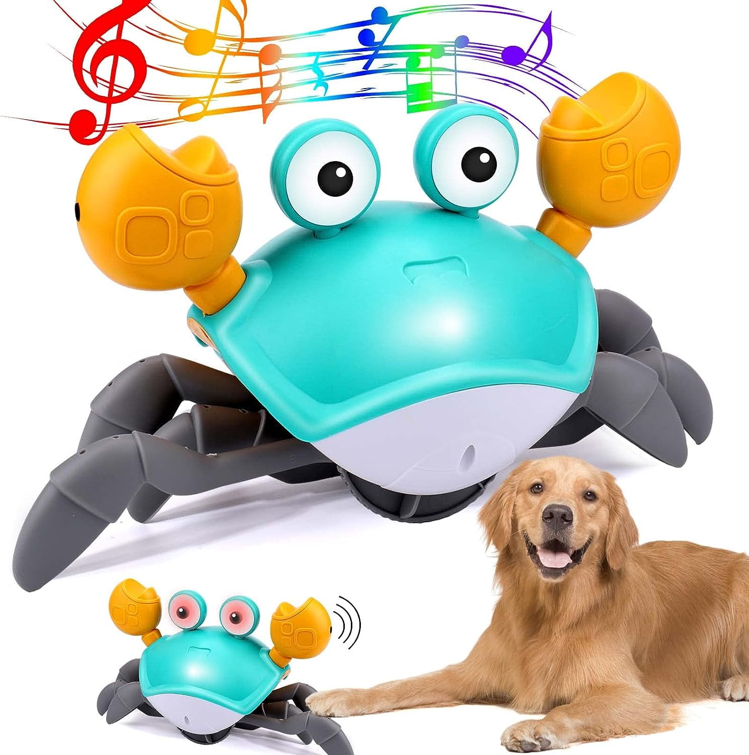 Flippy flopper dog frisbee walmart hot sale