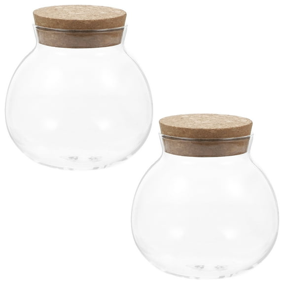 QUMONIN 2pcs Spherical Glass Jar with Cork Lid Airtight Candy Jar Kitchen Glass Jar for Preserving Storing
