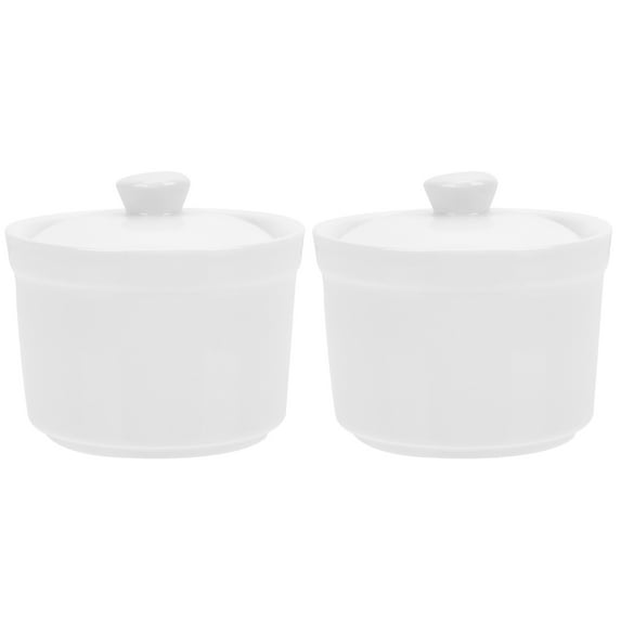 QUMONIN Ceramic Cookware Porcelain Stew Pot 2pcs Small Soup Bowl with Lid