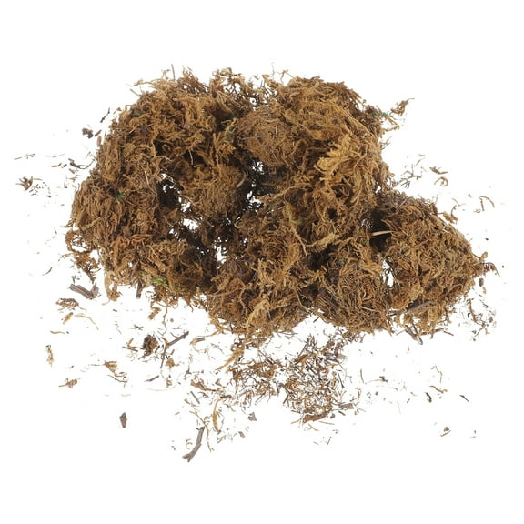 QUMONIN Fake Moss Bag for Home & Outdoor Wall Decor - Colored Artificial Moss Crafts