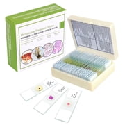 QUNSE Prepared Microscope Slides Kit for Kids and Adults, 25 Specimens Educational Science Set and Toy Gift for Students, Children, and Home School Use