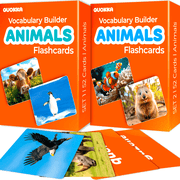 Quokka 104 Animal Flash Cards   Educational Flashcards for Kids   Preschool Learning and Speech Therapy