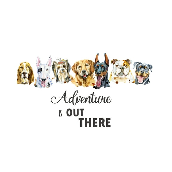 QUOTES - Adventure Is Out There - Kids Bedroom Playroom Dogs & Puppies Pet Animals Decoration Inspirational Quotes Lettering Art Design Vinyl Home Wall Decal Sticker 10" x 5"