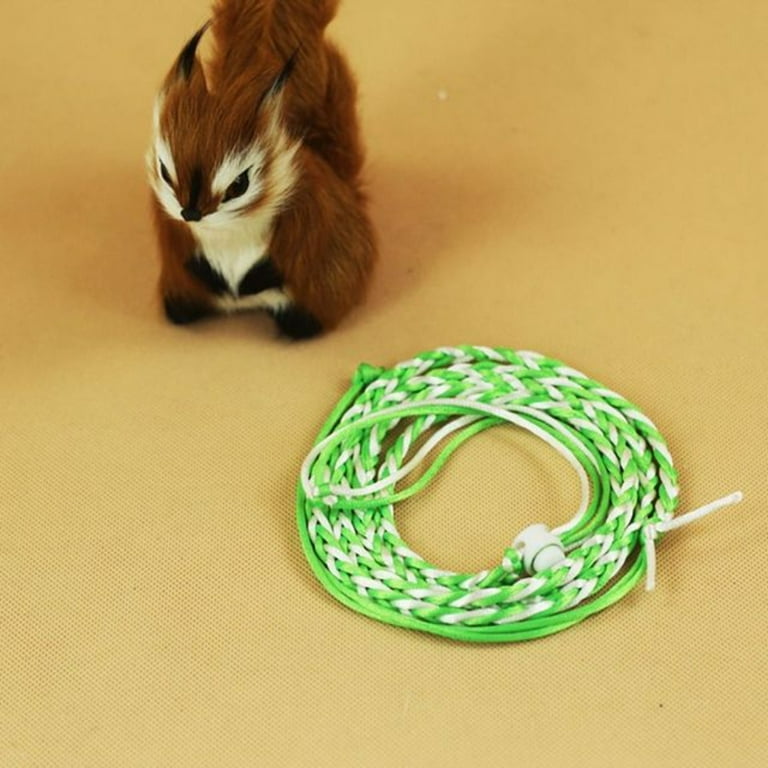 Hamster harness and lead hot sale
