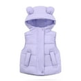 thumbnail image 1 of QUYUON Toddler Down Vest Baby Girls' Boys' Puffer Jackets Sleeveless Button Full Zip up Hoodie Jacket Warm Winter Coat Outerwear Kids Windproof Padded Jackets Purple 2T, 1 of 7