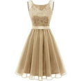 thumbnail image 1 of QUYUON Women Vintage Lace Dress Retro Cocktail Party Swing Dresses Sleeveless Vintage Tea Dress with Belt Back Zipper Pleated A-Line Tulle Dress Wedding Guest Party Prom Dress, Beige L, 1 of 3