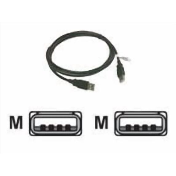 QVS CC2208C-06 6 ft. USB 2.0 High-Speed Type A Male to Male Black Cable