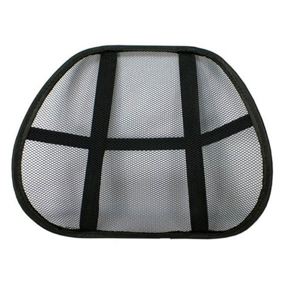 QVS LB-BK2 Ergonomic Lumbar Back Support