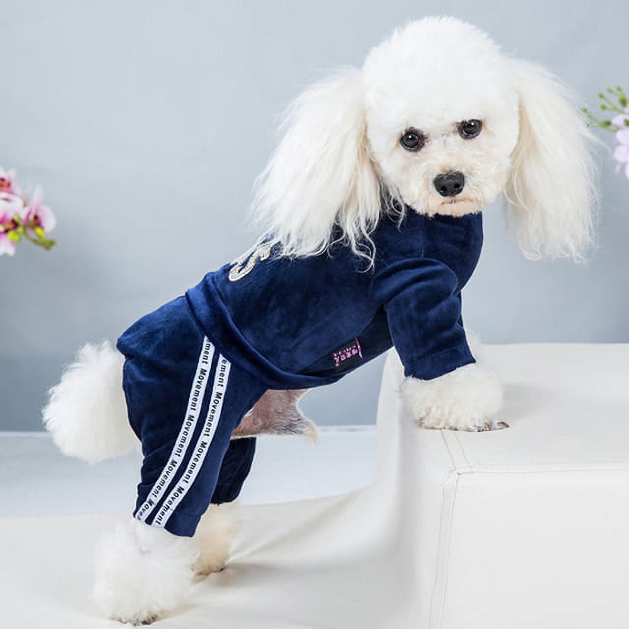  N / A Pet Clothes Dog cat French Bulldog White Flower Twill  Hooded Jacket Sweater Autumn and Winter Outdoor Sports Coat is Warm Cat  Clothes Hoodies DogsWarm and Windproof : מוצרים