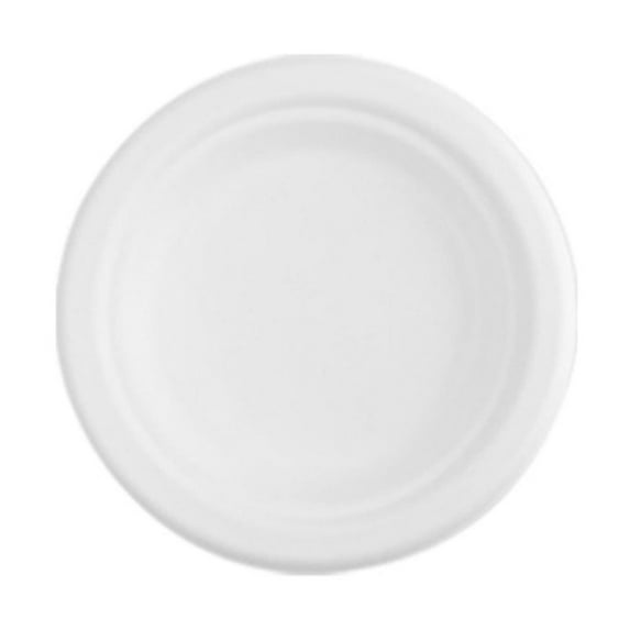 QYXQPYO 6 Inch Small Compostable Dessert Plates,1 Pc Heavyduty Sugarcane/Bagasse and Bamboo Fibre Biodegradable Disposable Paper Plate