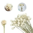 thumbnail image 1 of QZS Dry Flower Bouquet,30Pack Dried Flowers Bundles,Dried Bouquet for Wedding Table Decor,DIY Floral Wreath Decor for Home,Office,Party,Garden Decoration,White, 1 of 6