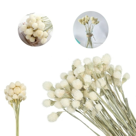 QZS Dry Flower Bouquet,30Pack Dried Flowers Bundles,Dried Bouquet for Wedding Table Decor,DIY Floral Wreath Decor for Home,Office,Party,Garden Decoration,White