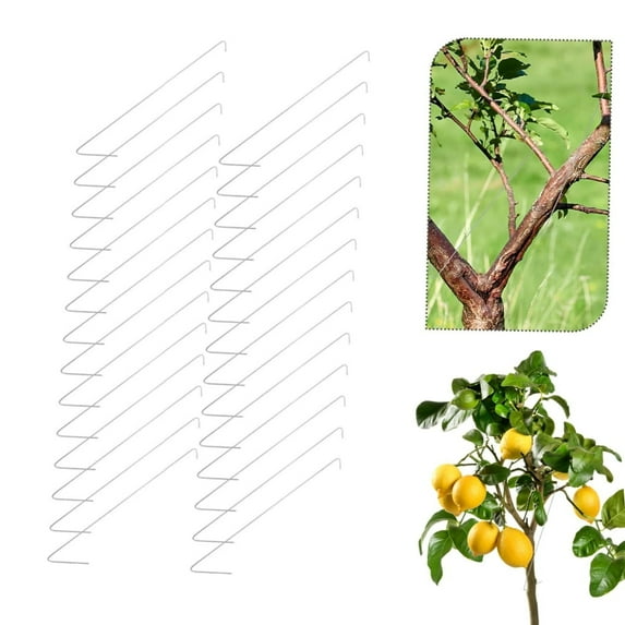 QZS Durable Branch Spreader,50Pack,Durable Stereotyped Branch Bending Tool for Horticultural,Used to Support the Growth and Fruiting
