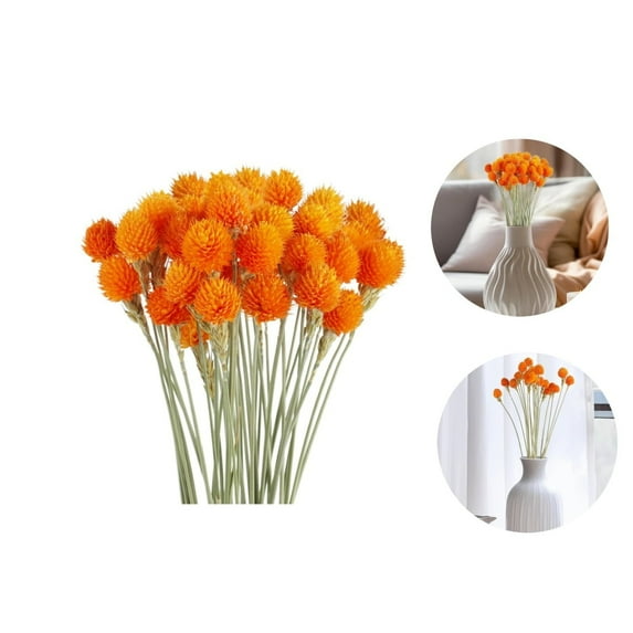QZS Natural Dried Globe Amaranth Flower,Orange Globe Amaranth Dried Flower Bundles,30Pack Natural Dry Floral Arrangements for Vase,Party Decor