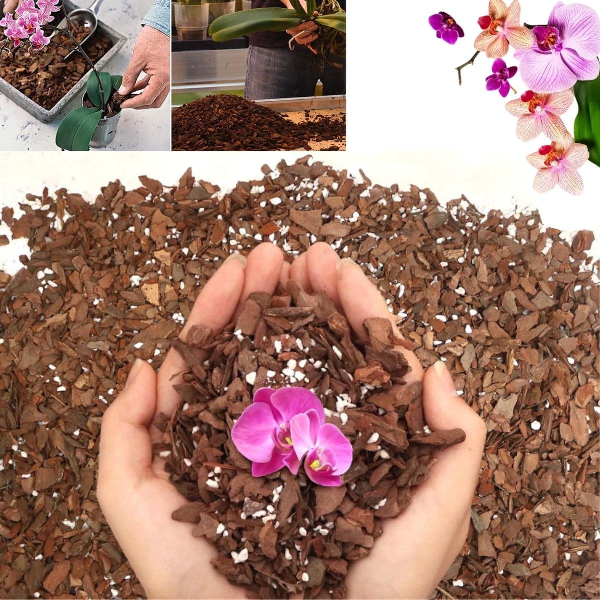 QZS Premium Orchid Potting Mix,Premium Orchid Bark Potting Mixture for Root Ventilation & Expanding,Fit for Phalaenopsis,Flower