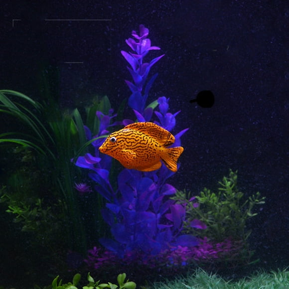 Qaailabf Plastic Floating Fake Goldfish Aquarium Tank Decor - Imitation Fighting Fish Design, Glows Under Actinic Light, Suction Attached, 7.8x2x4.6cm