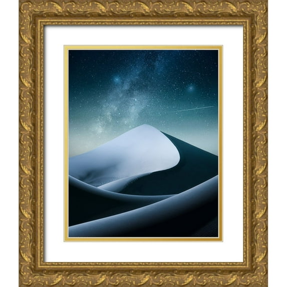 Qane, Hamed 15x18 Gold Ornate Wood Framed with Double Matting Museum Art Print Titled - Zarrin Night