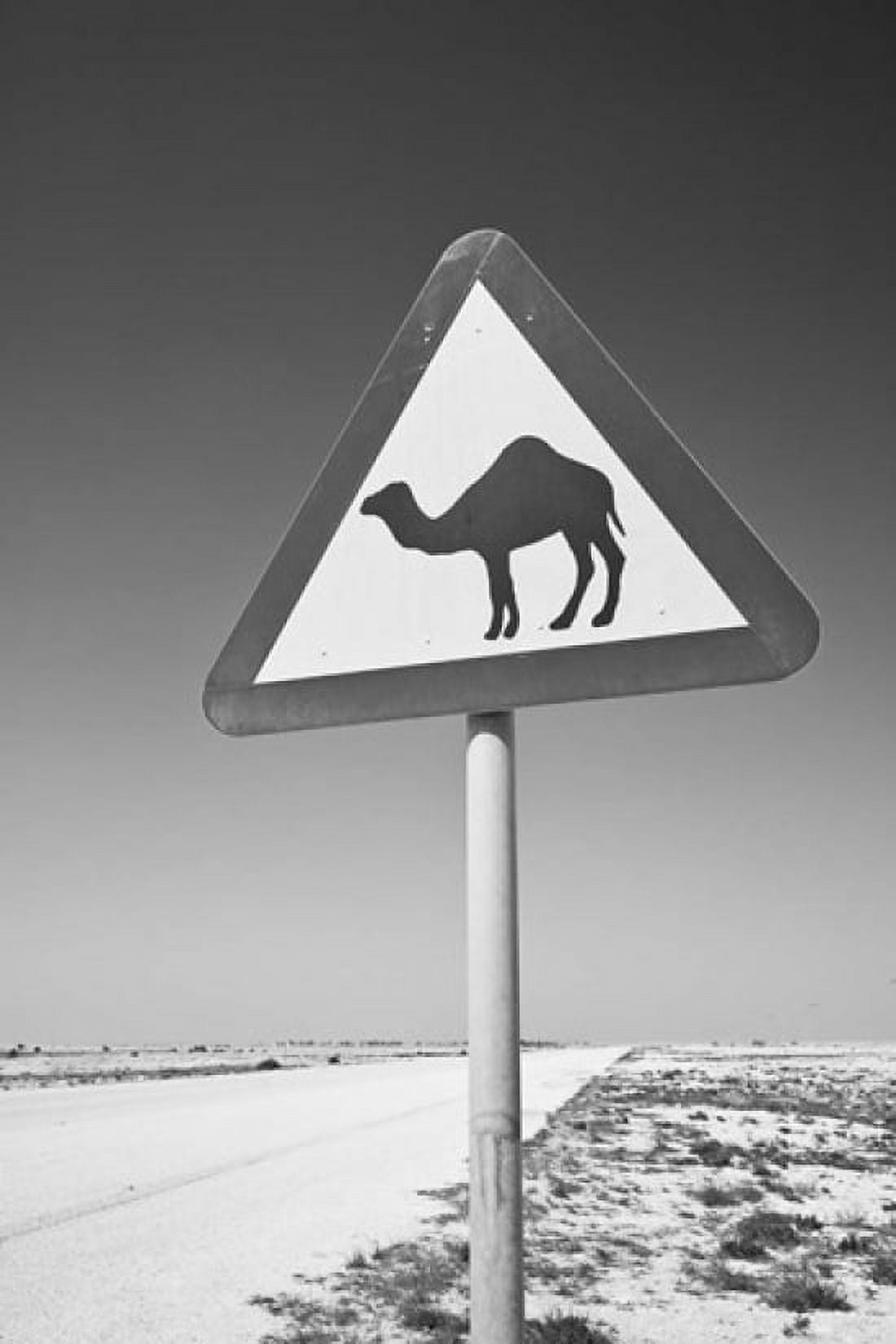 Qatar Al Zubarah Camel Crossing Sign-Road to Al-Zubarah NW Qatar Canvas Art - Walter Bibikow DanitaDelimont (15 x 22)