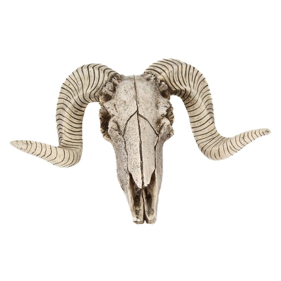 QccHieUs Ram Skull with Horns Wall Sculpture Faux Taxidermy Animal for Home Wall Hanging