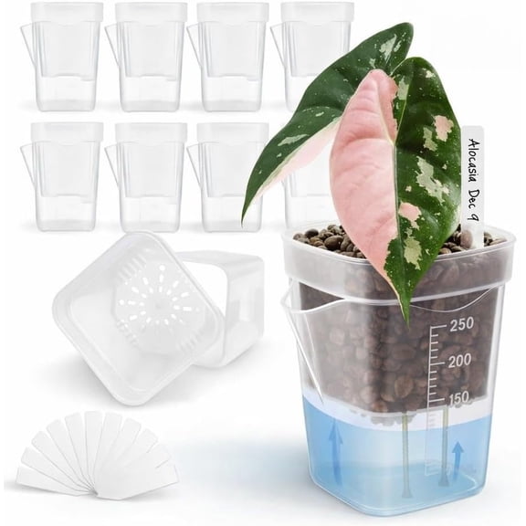 Qczoyp 12 Pack 2 Inch Clear Self Watering Plant Pots with Wick System,Water Level Indicator & Drainage Hole,BPA-Free Nursery Pots with 12 Plant Labels for Seedlings Cuttings Alocasia Corm