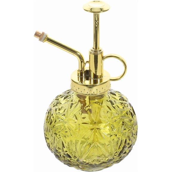 Qczoyp 6.8Oz Retro Clear Glass Plant Mister Spray Bottle with Rustproof Pump, Multipurpose Small Water Spraying Pot for Succulents Orchids Air Plants Ferns Indoor Outdoor Gardening