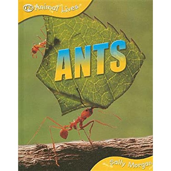 Pre-Owned Ants (Library Binding) 159566534X 9781595665348
