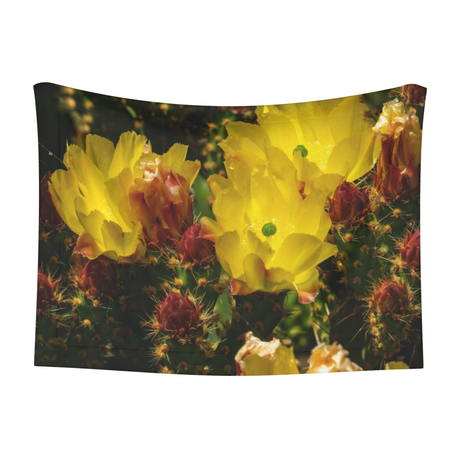 Qekee Cactus Flowers Print Pet Blankets Super Soft Fluffy Premium Pet